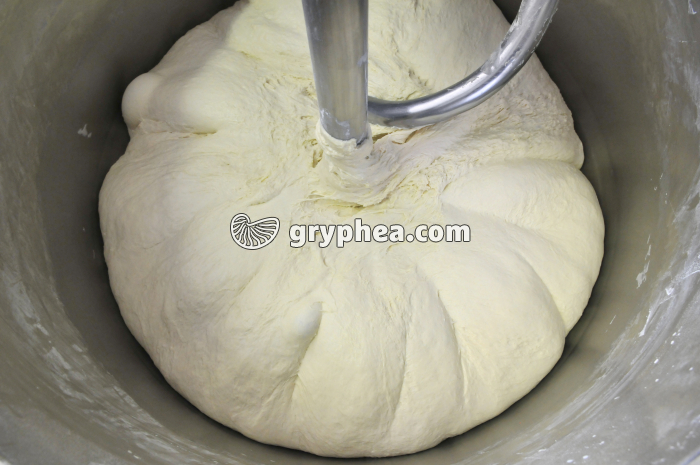 Fabrication du pain - Première fermentation de la pâte à pain dans la cuve du pétrin - gryphea.com